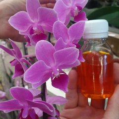 Удобрение ZeXa для цветения орхидей и комнатных растений собственное производство W 3970/1 45 мл, 45 мл